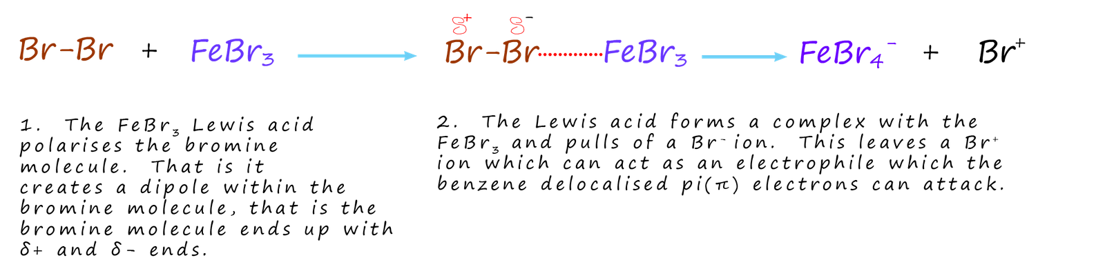 FeBr3 acts as a Lewis acid catalyst and enables bromine to add 
to an aromatic ring